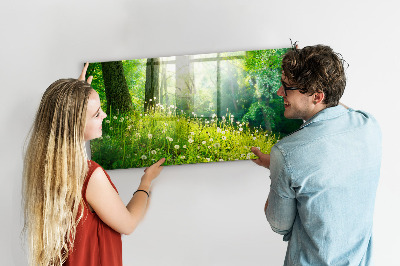 Tableau aimanté horizontal Nature printanière