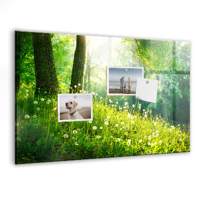Tableau aimanté horizontal Nature printanière