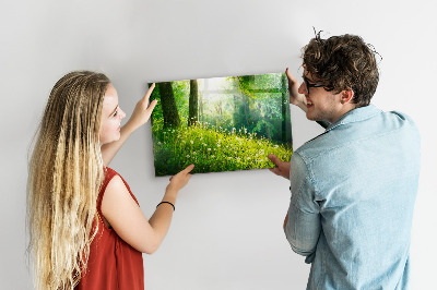 Tableau aimanté horizontal Nature printanière