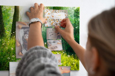 Tableau aimanté horizontal Nature printanière