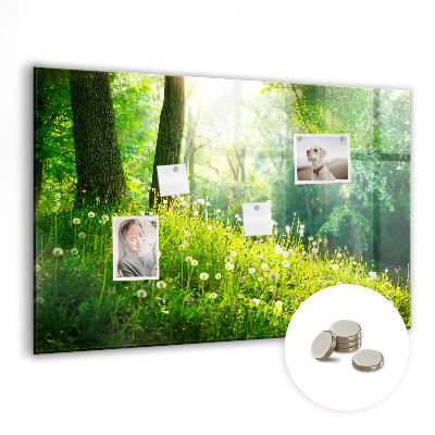 Tableau aimanté horizontal Nature printanière