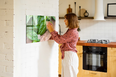 Tableau mural magnétique feuilles de basilic