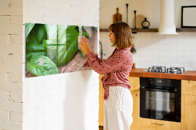 Tableau mural magnétique feuilles de basilic
