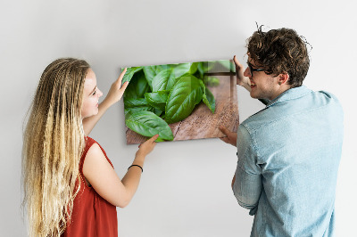 Tableau mural magnétique feuilles de basilic