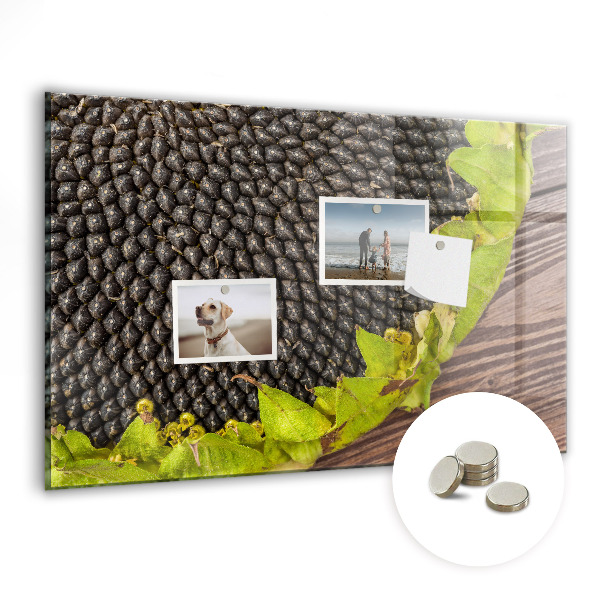 Tableau pour magnet Tournesol