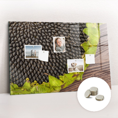 Tableau pour magnet Tournesol
