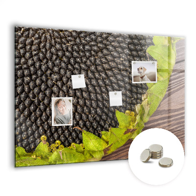Tableau pour magnet Tournesol