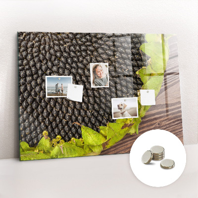 Tableau pour magnet Tournesol