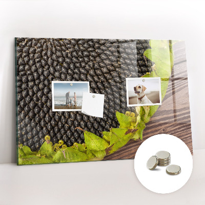 Tableau pour magnet Tournesol
