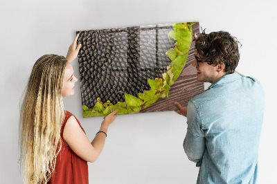 Tableau pour magnet Tournesol