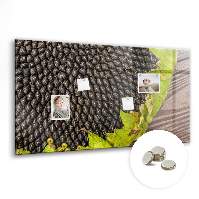 Tableau pour magnet Tournesol