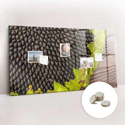 Tableau pour magnet Tournesol