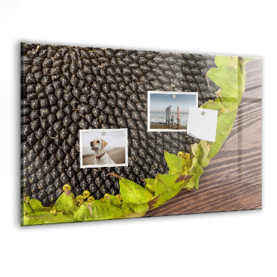 Tableau pour magnet Tournesol