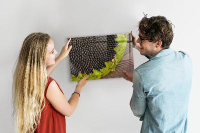 Tableau pour magnet Tournesol