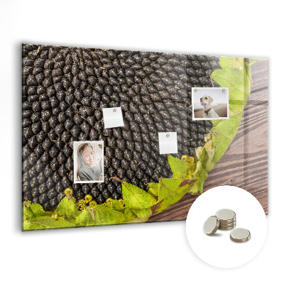 Tableau pour magnet Tournesol