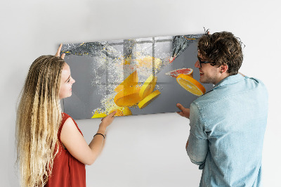 Tableau pour magnet Agrumes dans l'eau