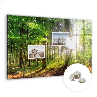 Tableau pour magnet Lever de soleil dans la forêt