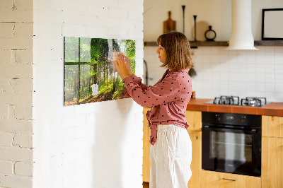 Tableau pour magnet Lever de soleil dans la forêt
