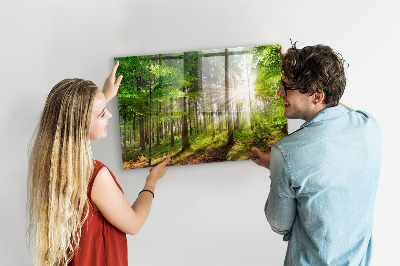 Tableau pour magnet Lever de soleil dans la forêt