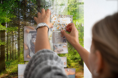 Tableau pour magnet Lever de soleil dans la forêt