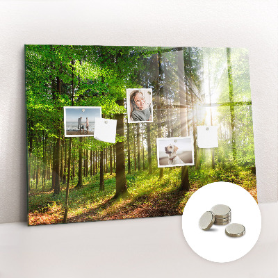 Tableau pour magnet Lever de soleil dans la forêt