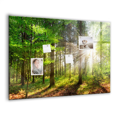Tableau pour magnet Lever de soleil dans la forêt