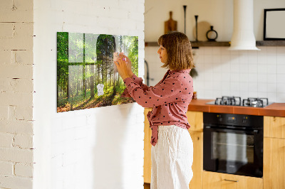 Tableau pour magnet Lever de soleil dans la forêt