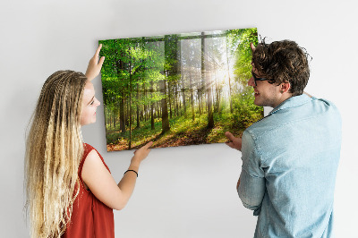 Tableau pour magnet Lever de soleil dans la forêt