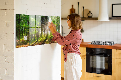 Tableau pour magnet Lever de soleil dans la forêt