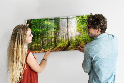 Tableau pour magnet Lever de soleil dans la forêt