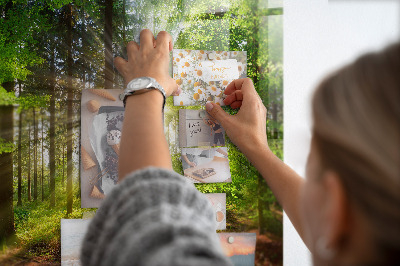 Tableau pour magnet Lever de soleil dans la forêt