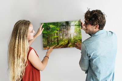 Tableau pour magnet Lever de soleil dans la forêt