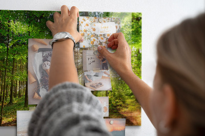 Tableau pour magnet Lever de soleil dans la forêt