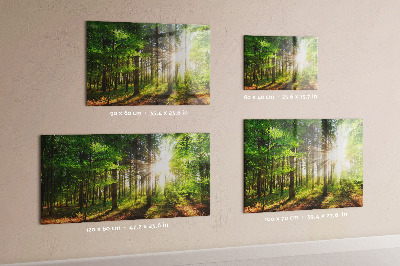 Tableau pour magnet Lever de soleil dans la forêt