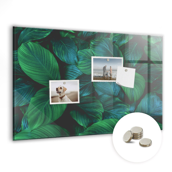 Tableau pour magnet La nature laisse