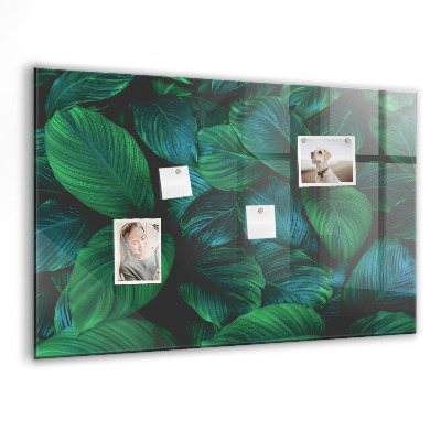 Tableau pour magnet La nature laisse