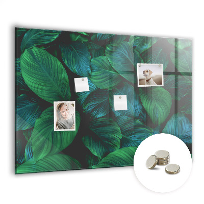 Tableau pour magnet La nature laisse