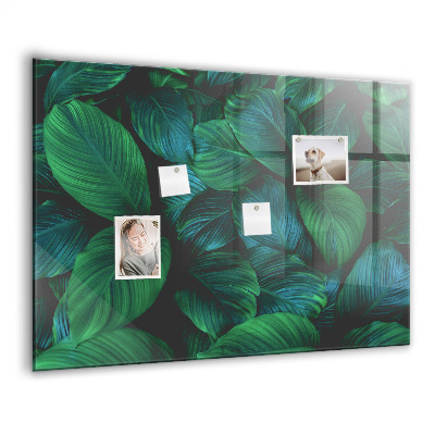 Tableau pour magnet La nature laisse