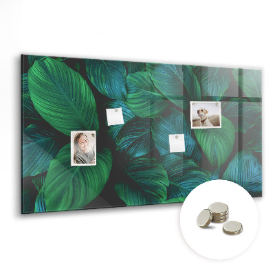 Tableau pour magnet La nature laisse