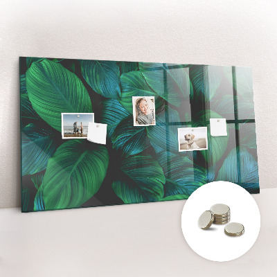 Tableau pour magnet La nature laisse