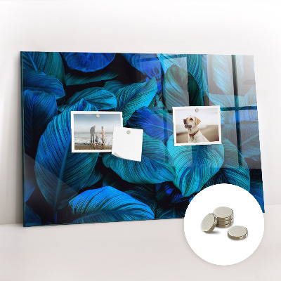 Tableau aimanté horizontal Nature tropicale