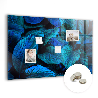 Tableau aimanté horizontal Nature tropicale