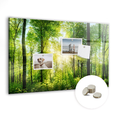 Tableau pour magnet Arbres de la forêt naturelle