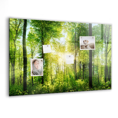 Tableau pour magnet Arbres de la forêt naturelle