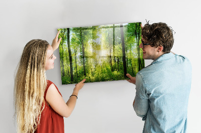 Tableau pour magnet Arbres de la forêt naturelle