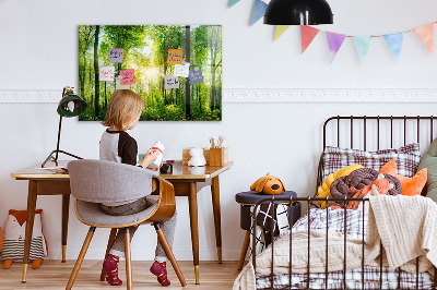 Tableau pour magnet Arbres de la forêt naturelle