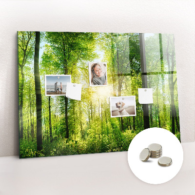 Tableau pour magnet Arbres de la forêt naturelle