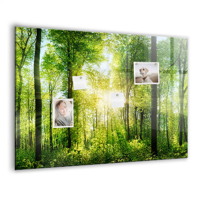 Tableau pour magnet Arbres de la forêt naturelle