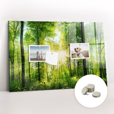 Tableau pour magnet Arbres de la forêt naturelle