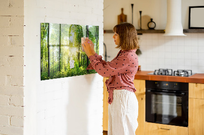 Tableau pour magnet Arbres de la forêt naturelle